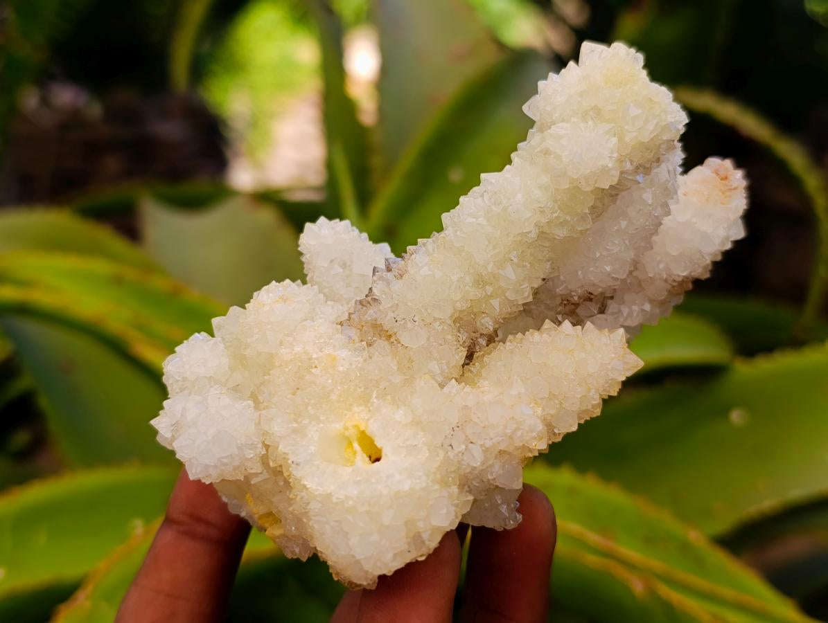 Natural Mountain Snow Quartz Coated Calcite Pseudomorph Cluster Specimens x 6 From Albert's Mountain, Lesotho