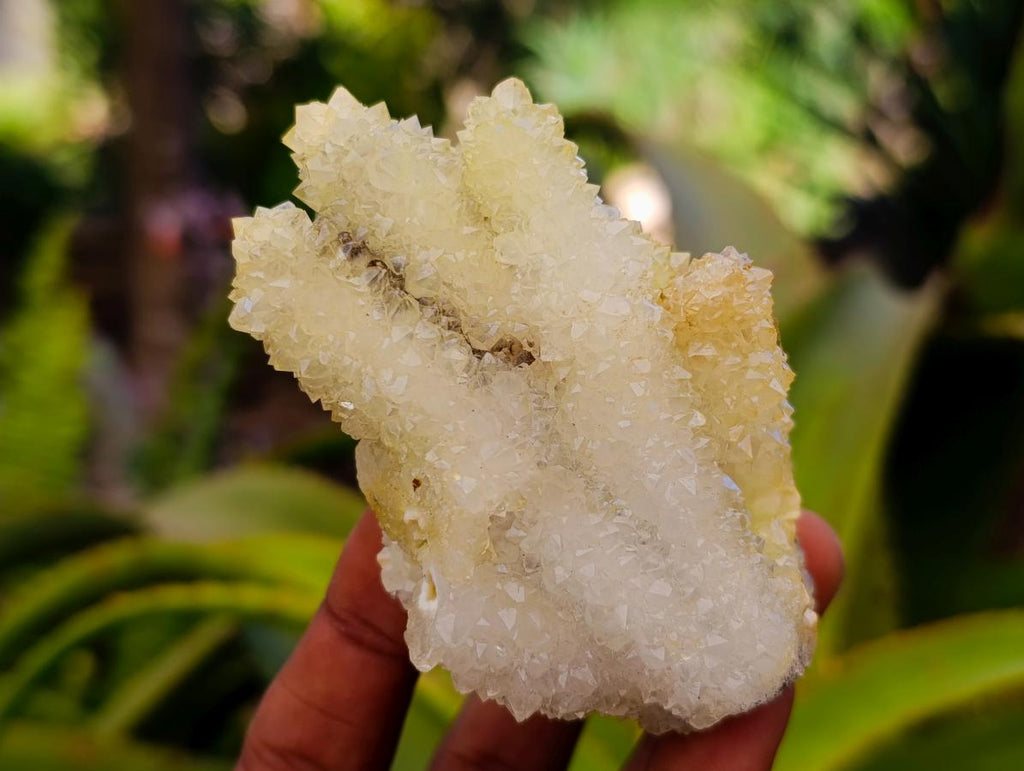 Natural Mountain Snow Quartz Coated Calcite Pseudomorph Cluster Specimens x 6 From Albert's Mountain, Lesotho