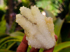 Natural Mountain Snow Quartz Coated Calcite Pseudomorph Cluster Specimens x 6 From Albert's Mountain, Lesotho