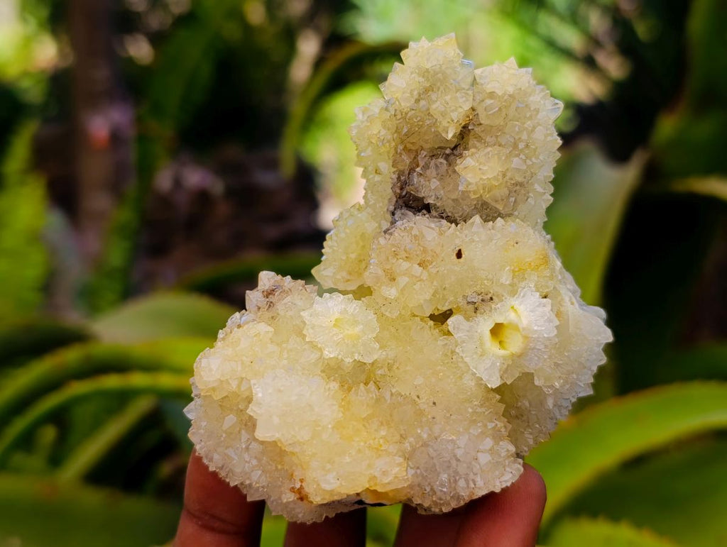 Natural Mountain Snow Quartz Coated Calcite Pseudomorph Cluster Specimens x 6 From Albert's Mountain, Lesotho