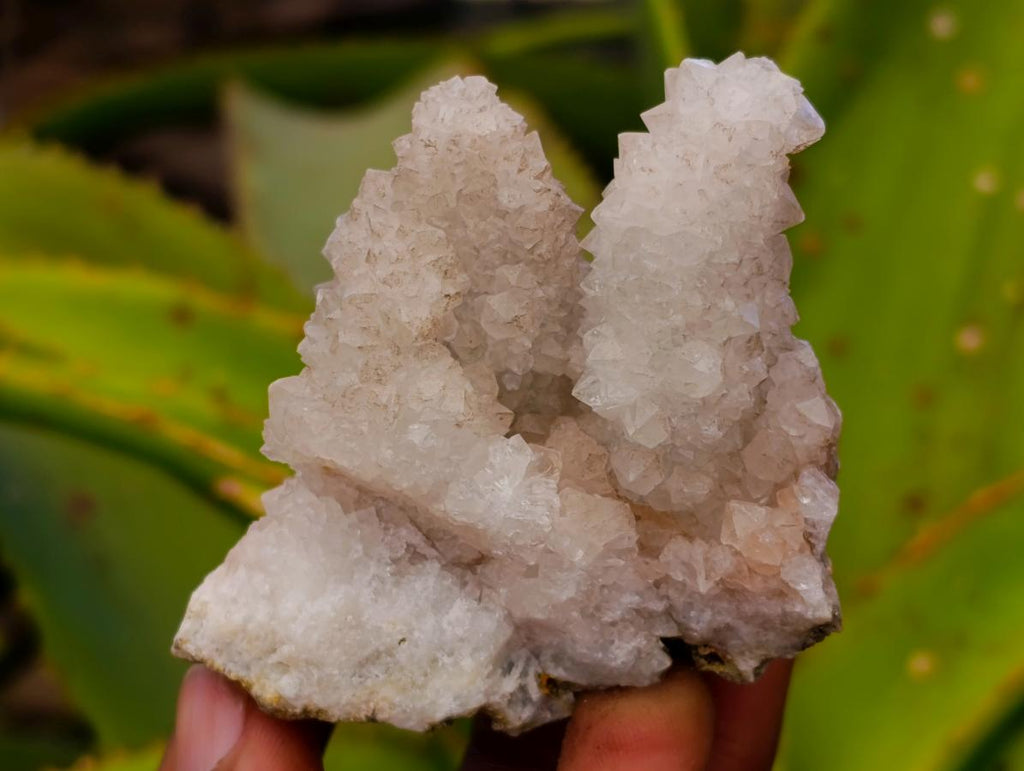 Natural Mountain Snow Quartz Coated Calcite Pseudomorph Cluster Specimens x 6 From Albert's Mountain, Lesotho