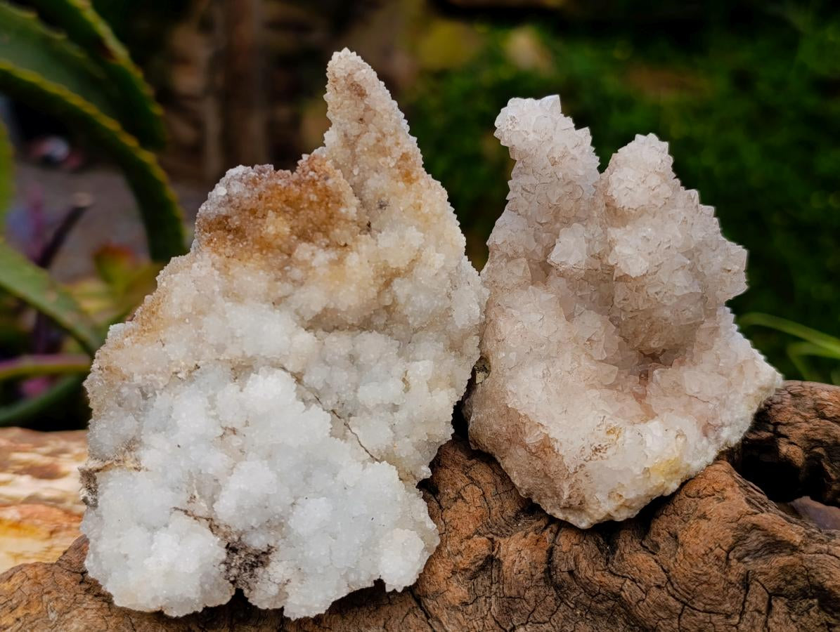 Natural Mountain Snow Quartz Coated Calcite Pseudomorph Cluster Specimens x 6 From Albert's Mountain, Lesotho