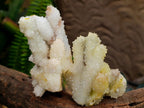 Natural Mountain Snow Quartz Coated Calcite Pseudomorph Cluster Specimens x 6 From Albert's Mountain, Lesotho