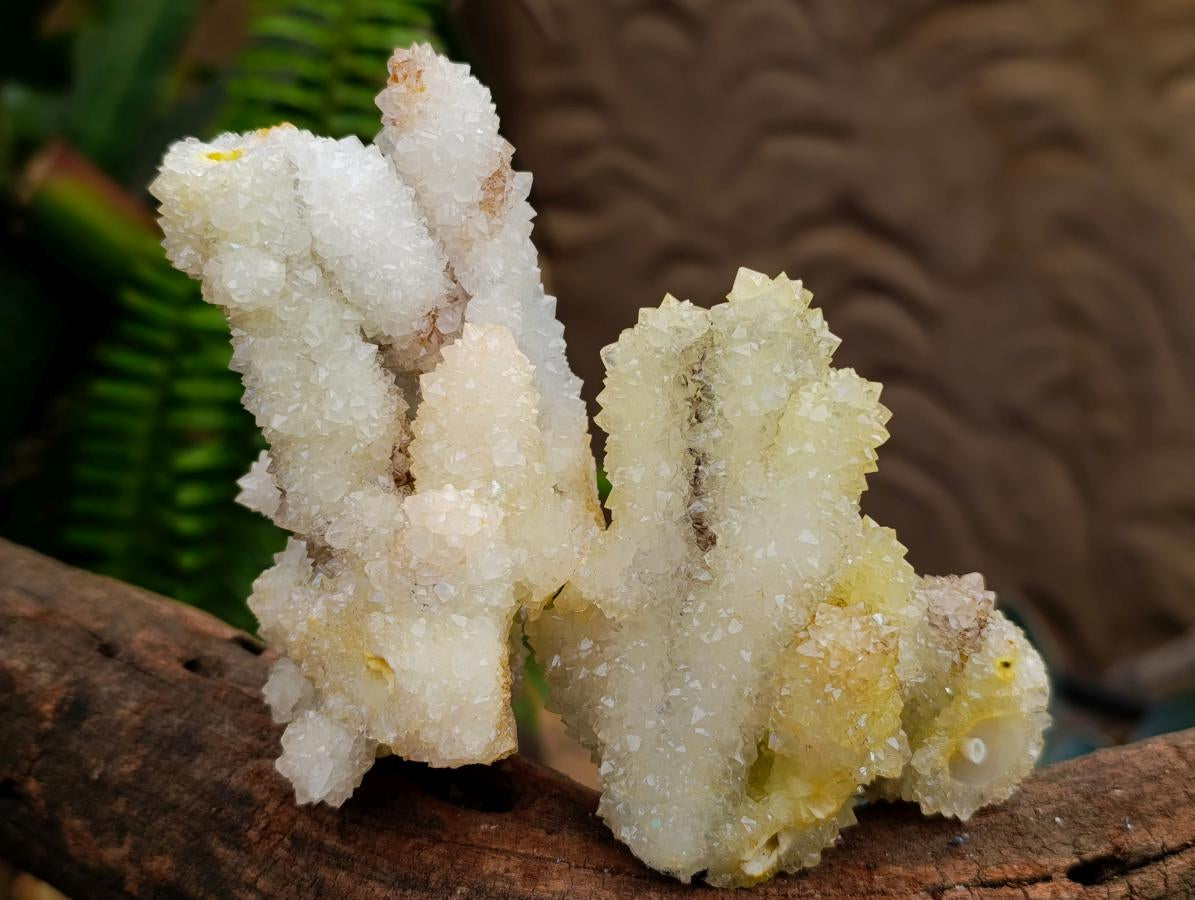 Natural Mountain Snow Quartz Coated Calcite Pseudomorph Cluster Specimens x 6 From Albert's Mountain, Lesotho