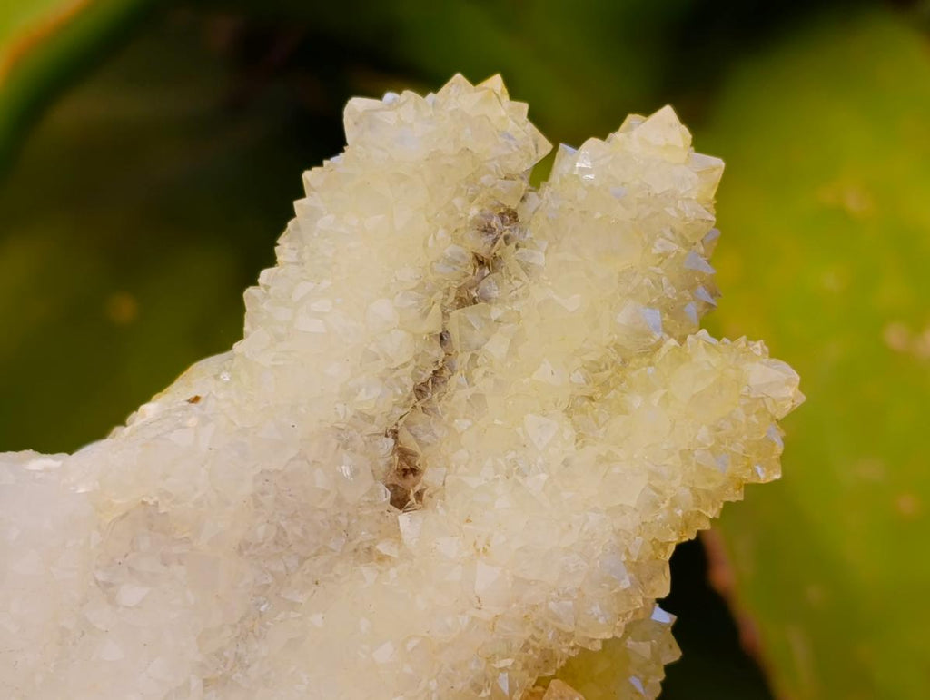 Natural Mountain Snow Quartz Coated Calcite Pseudomorph Cluster Specimens x 6 From Albert's Mountain, Lesotho