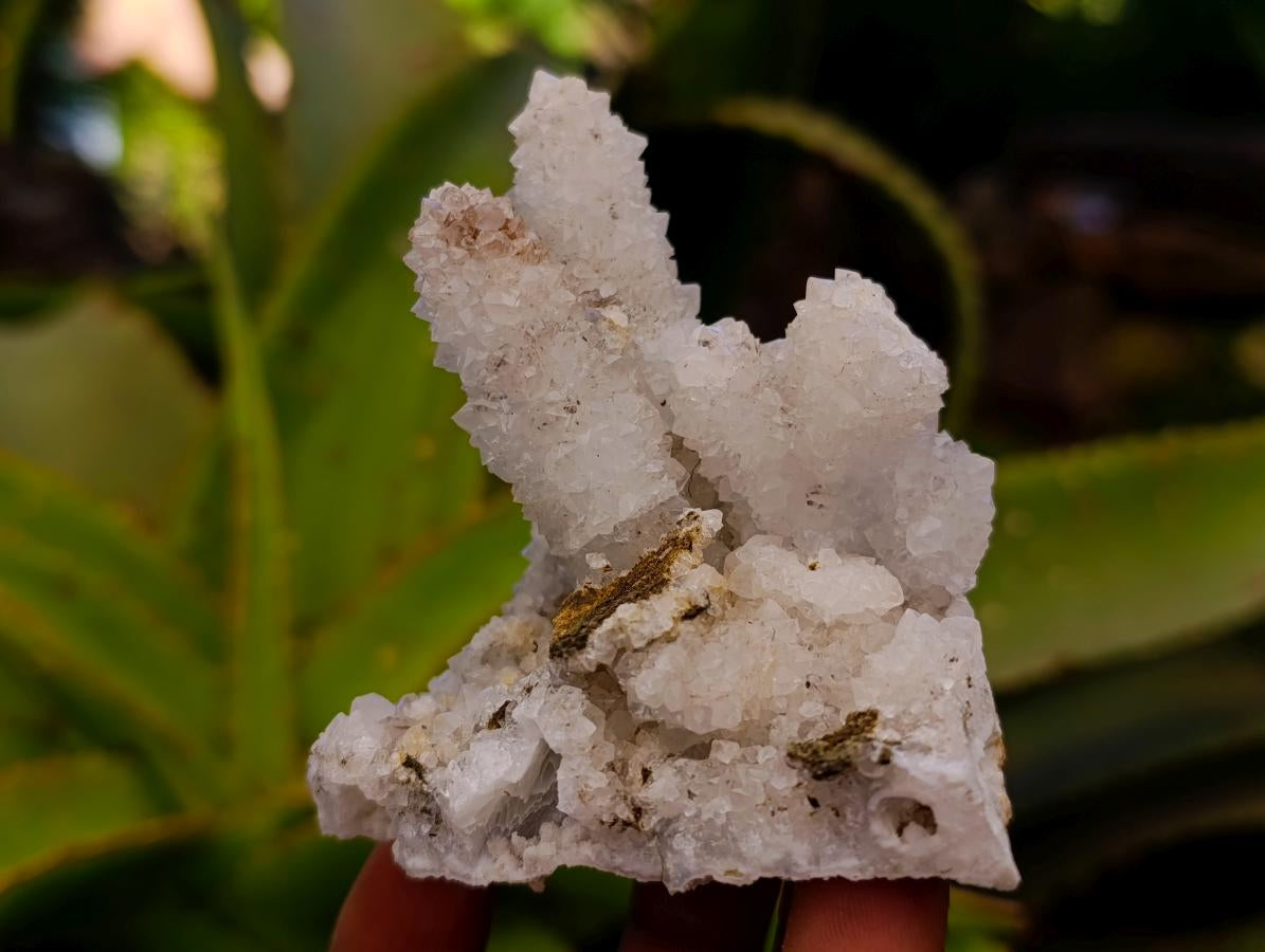 Natural Mountain Snow Quartz Coated Calcite Pseudomorph Cluster Specimens x 6 From Albert's Mountain, Lesotho