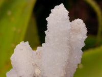 Natural Mountain Snow Quartz Coated Calcite Pseudomorph Cluster Specimens x 6 From Albert's Mountain, Lesotho
