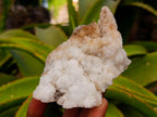 Natural Mountain Snow Quartz Coated Calcite Pseudomorph Cluster Specimens x 6 From Albert's Mountain, Lesotho