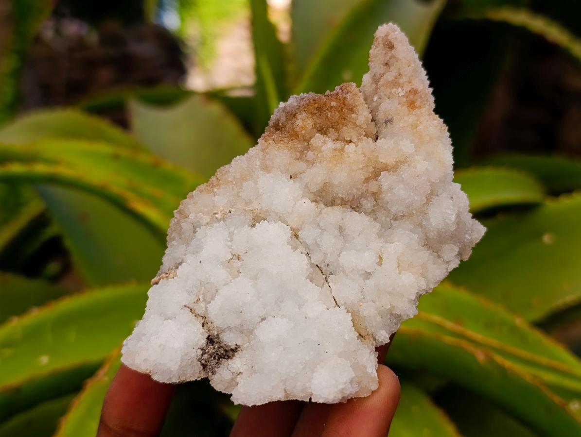 Natural Mountain Snow Quartz Coated Calcite Pseudomorph Cluster Specimens x 6 From Albert's Mountain, Lesotho