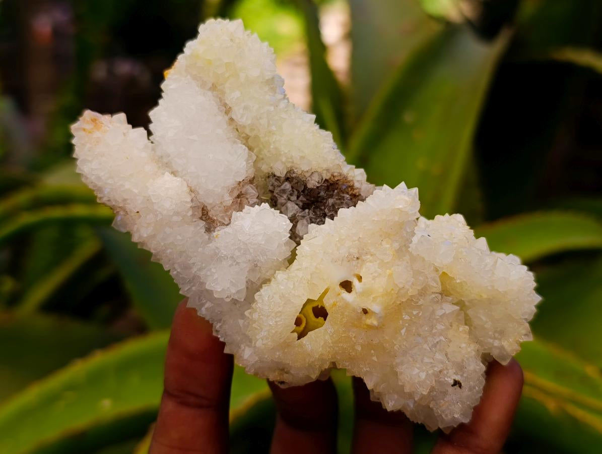 Natural Mountain Snow Quartz Coated Calcite Pseudomorph Cluster Specimens x 6 From Albert's Mountain, Lesotho