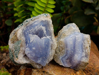 Natural Blue Lace Agate Geode Specimens x 24 From Nsanje, Malawi