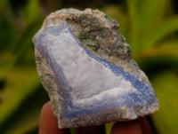Natural Blue Lace Agate Geode Specimens x 24 From Nsanje, Malawi