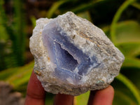 Natural Blue Lace Agate Geode Specimens x 24 From Nsanje, Malawi