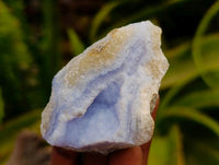 Natural Blue Lace Agate Geode Specimens x 24 From Nsanje, Malawi