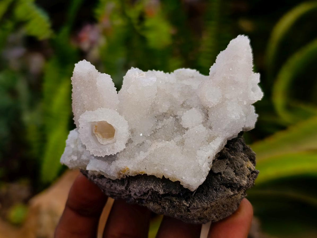 Natural Drusy Snow Quartz Clusters With Calcite Pseudomorph x 8 From Albert's Mountain , Lesotho