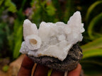 Natural Drusy Snow Quartz Clusters With Calcite Pseudomorph x 8 From Albert's Mountain , Lesotho