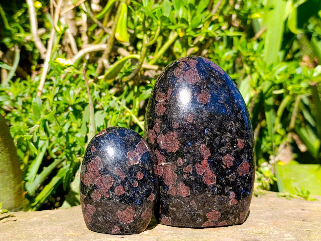 Polished Blue Speck Iolite Water Sapphire Standing Free Forms x 2 From Ambatofinandrahana, Madagascar