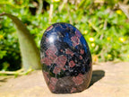 Polished Blue Speck Iolite Water Sapphire Standing Free Forms x 2 From Ambatofinandrahana, Madagascar