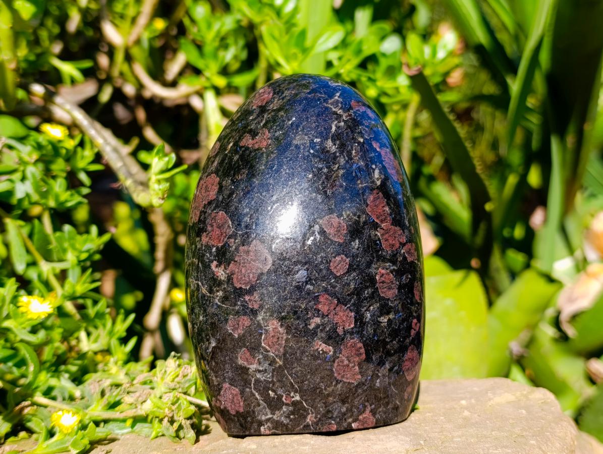 Polished Blue Speck Iolite Water Sapphire Standing Free Forms x 2 From Ambatofinandrahana, Madagascar