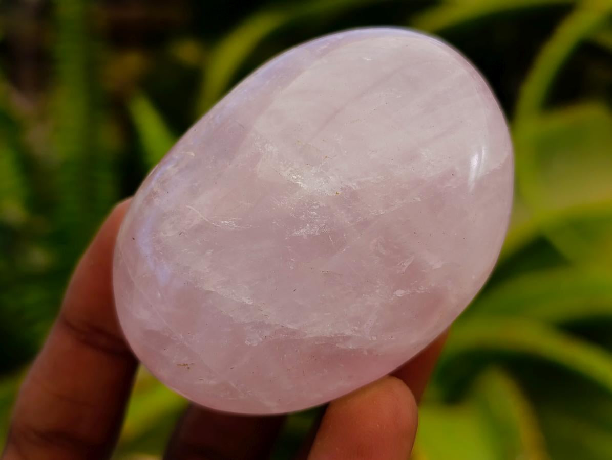 Polished Rose Quartz Palm Stones x 12 From Madagascar