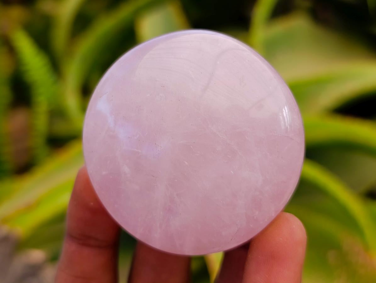 Polished Rose Quartz Palm Stones x 12 From Madagascar
