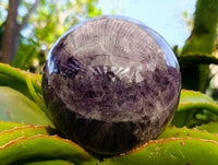 Polished XL Chevron Amethyst Sphere x 1 From Zambia