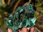 Natural Silky Malachite Specimens x 7 From Kasompe, Congo