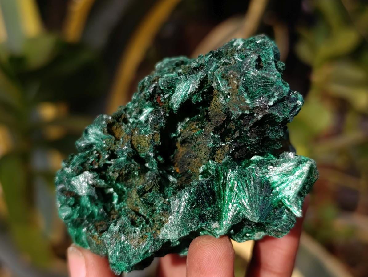 Natural Silky Malachite Specimens x 7 From Kasompe, Congo