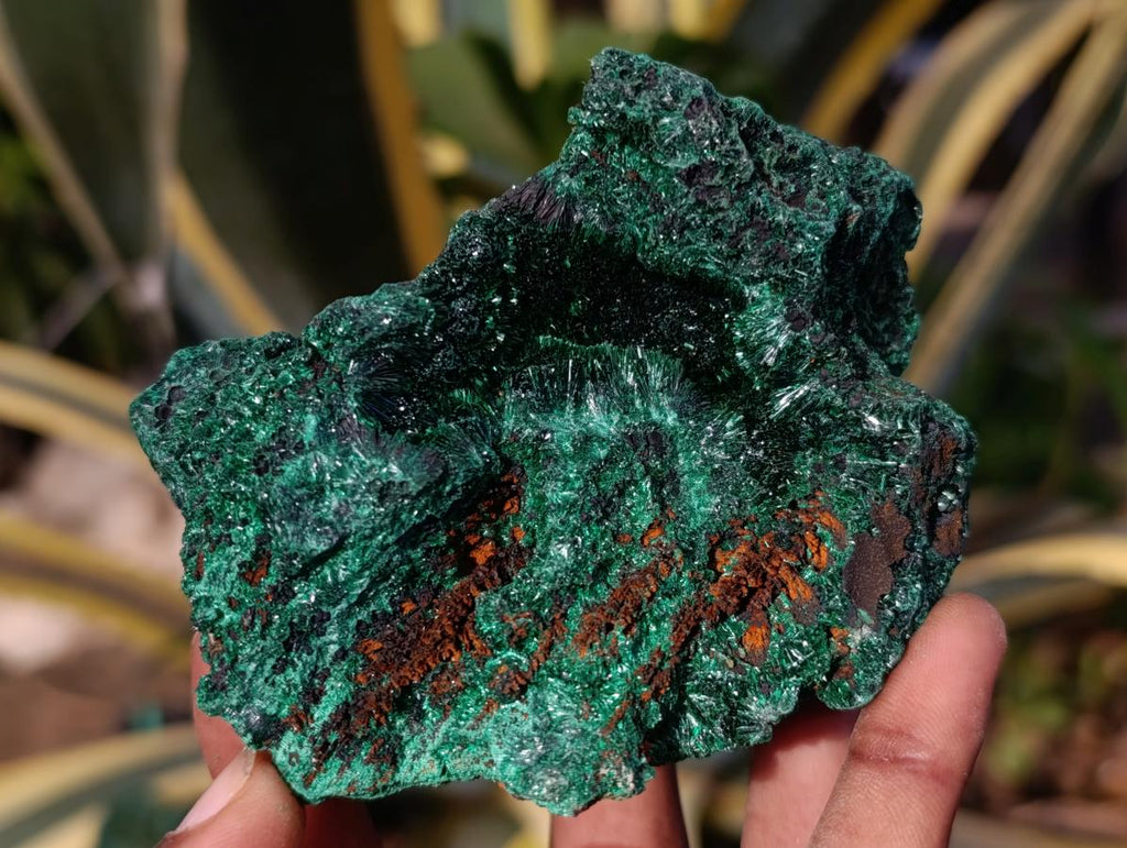 Natural Silky Malachite Specimens x 7 From Kasompe, Congo