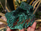 Natural Silky Malachite Specimens x 7 From Kasompe, Congo