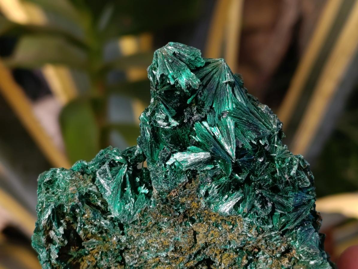 Natural Silky Malachite Specimens x 7 From Kasompe, Congo