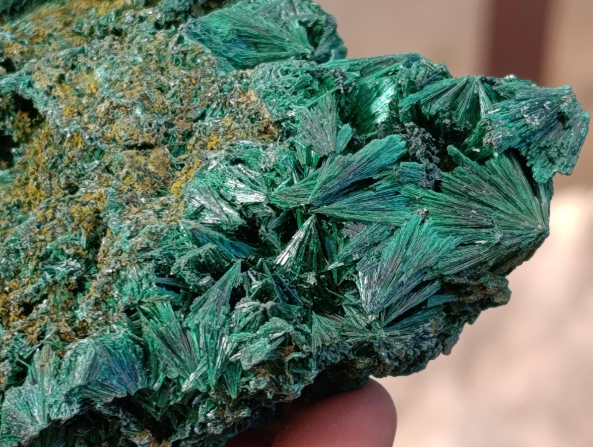 Natural Silky Malachite Specimens x 7 From Kasompe, Congo