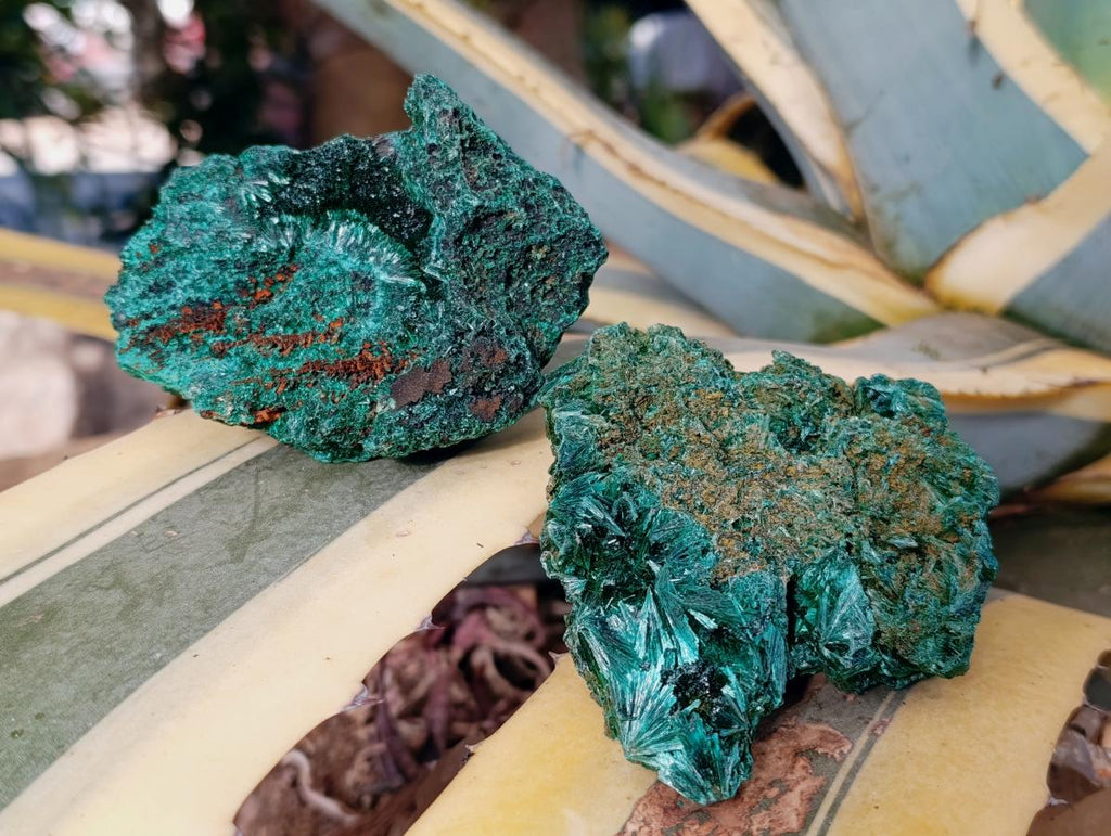 Natural Silky Malachite Specimens x 7 From Kasompe, Congo