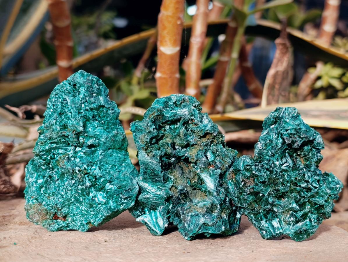 Natural Silky Malachite Specimens x 7 From Kasompe, Congo