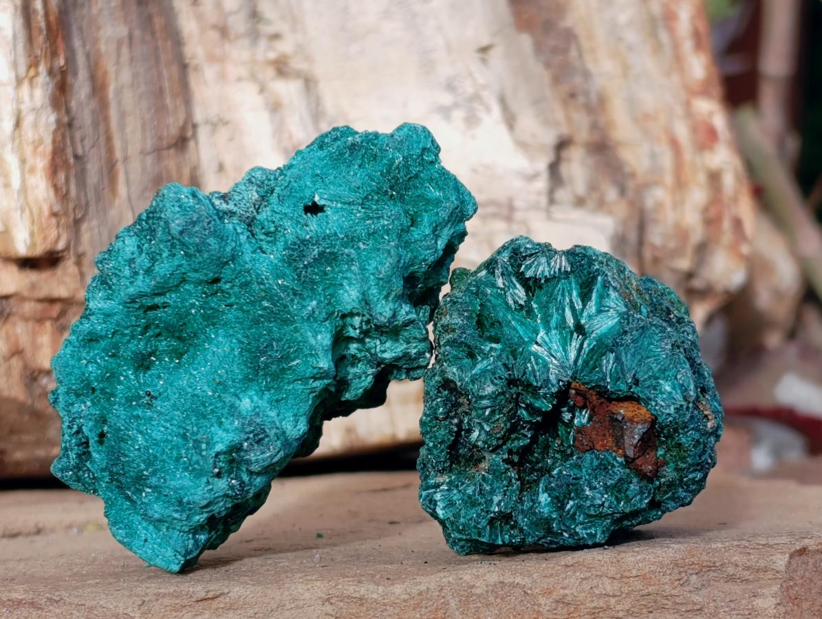 Natural Silky Malachite Specimens x 7 From Kasompe, Congo