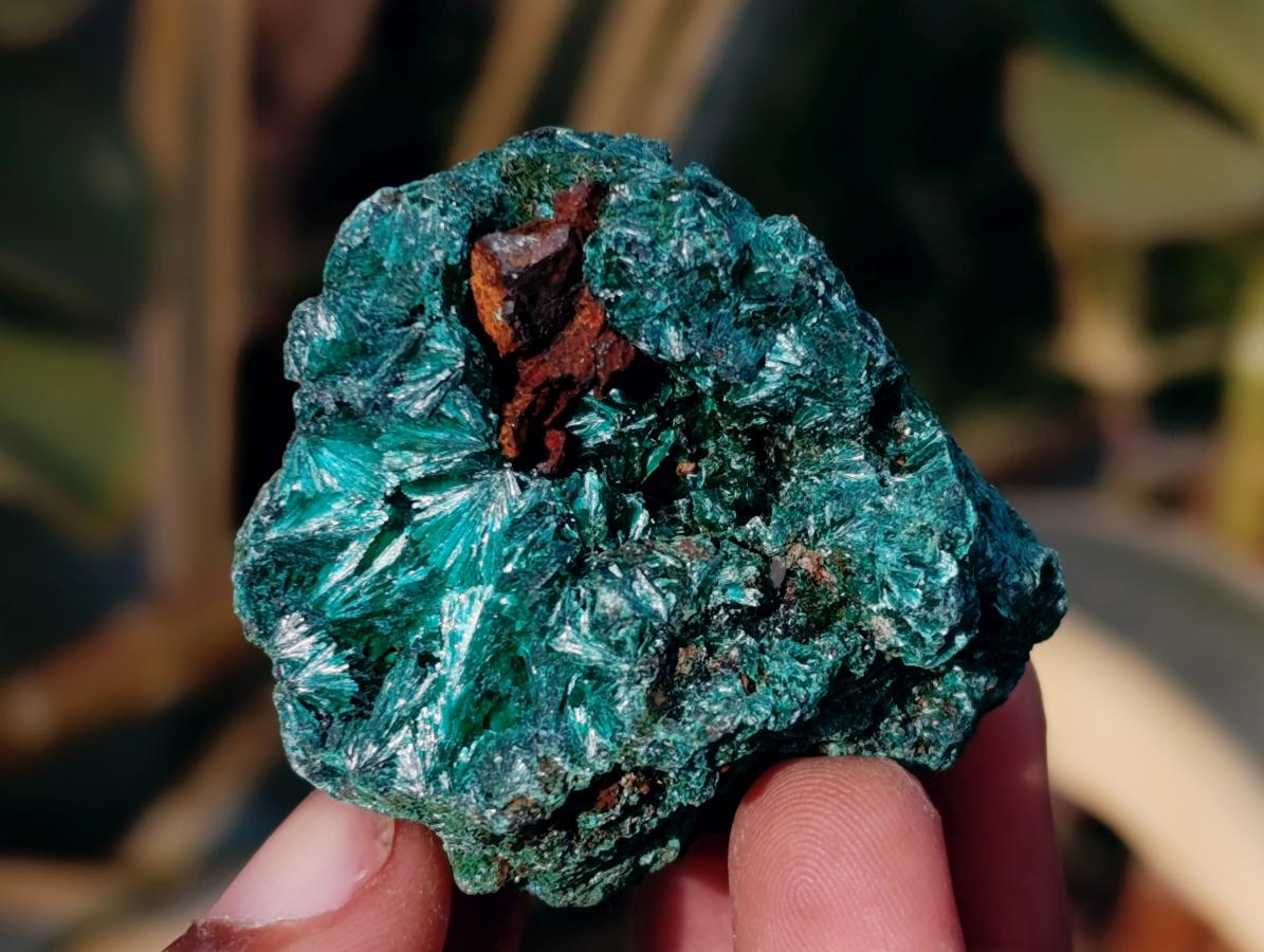 Natural Silky Malachite Specimens x 7 From Kasompe, Congo