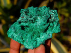 Natural Silky Malachite Specimens x 7 From Kasompe, Congo