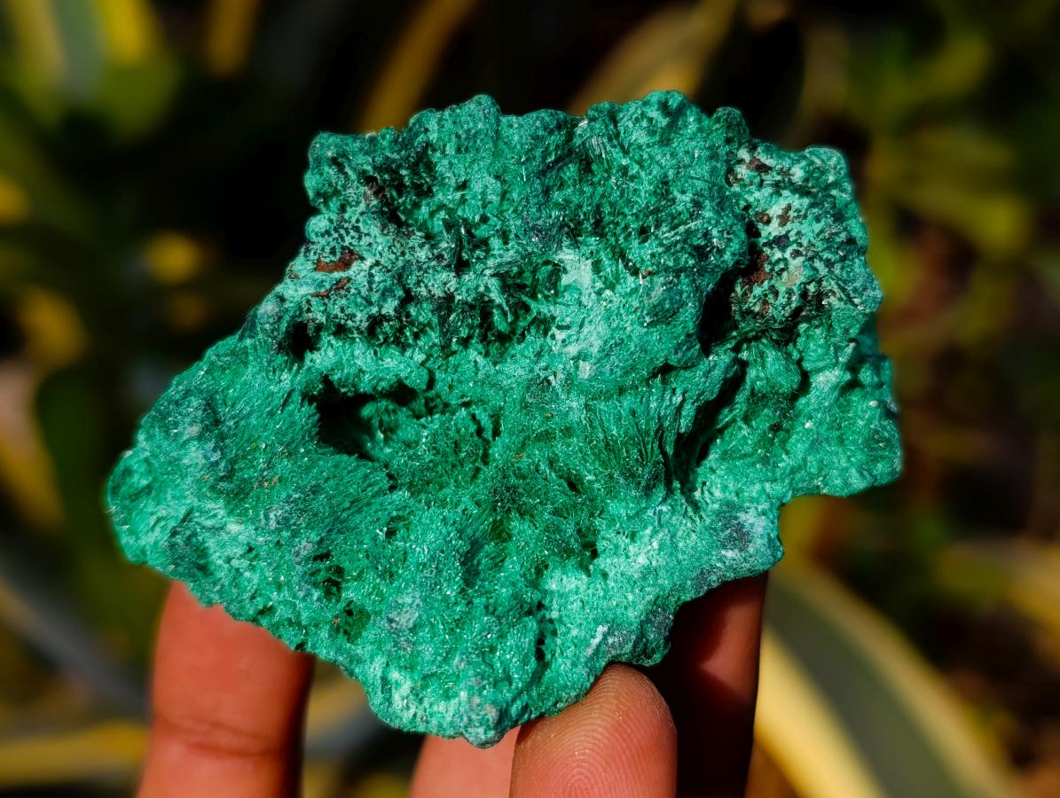 Natural Silky Malachite Specimens x 7 From Kasompe, Congo