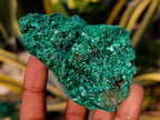 Natural Silky Malachite Specimens x 7 From Kasompe, Congo