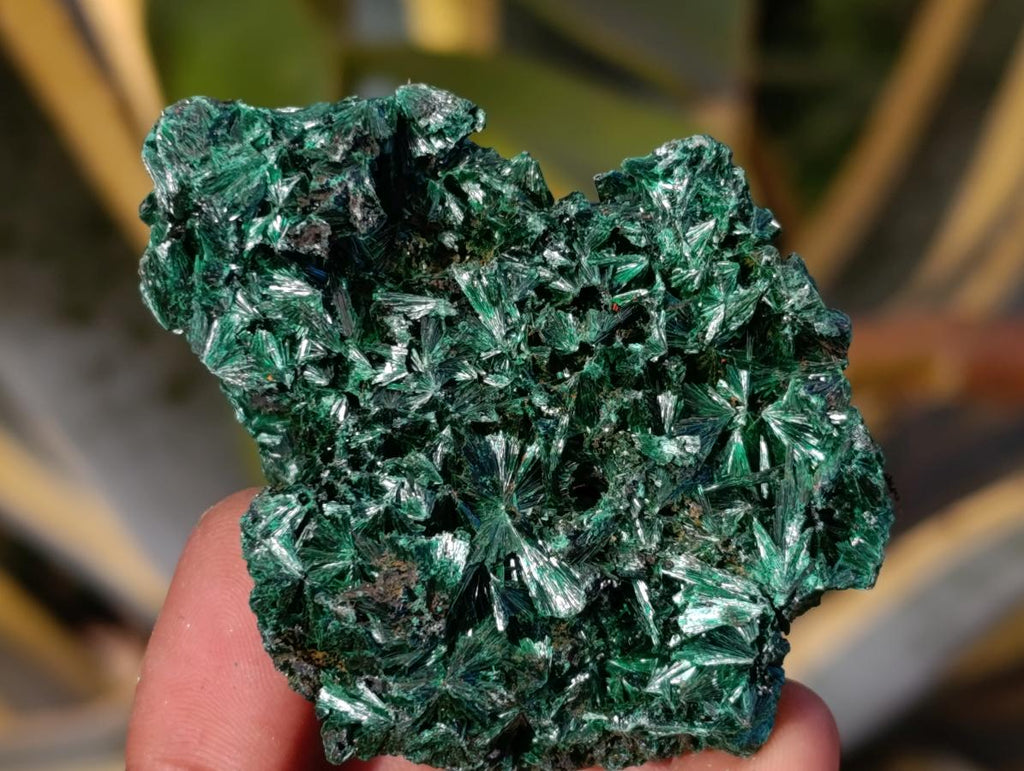 Natural Silky Malachite Specimens x 7 From Kasompe, Congo