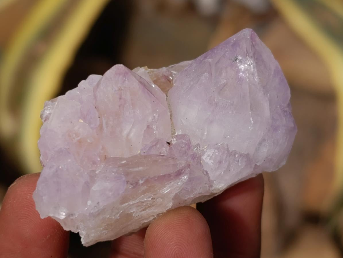 Natural Sunburst Amethyst Spirit Clusters x 20 From Boekenhouthoek, South Africa