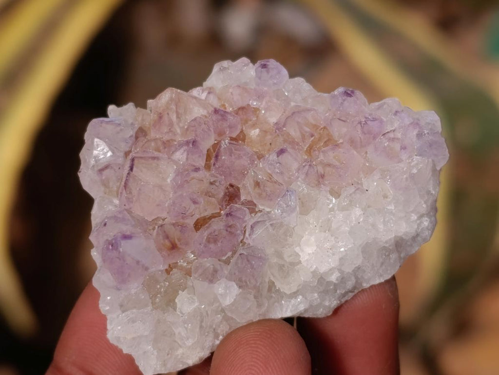 Natural Sunburst Amethyst Spirit Clusters x 20 From Boekenhouthoek, South Africa
