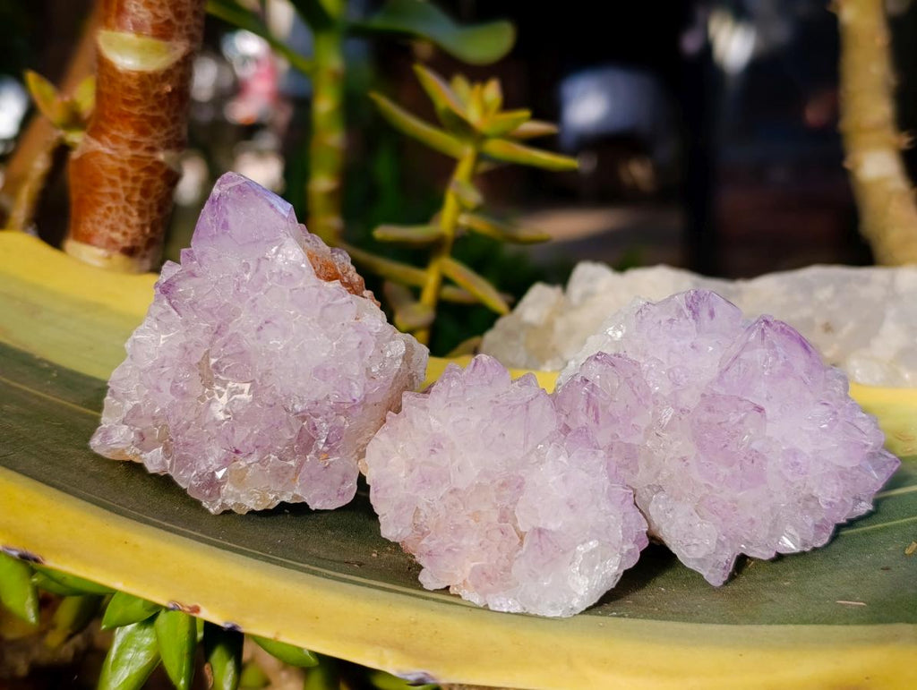 Natural Sunburst Amethyst Spirit Clusters x 20 From Boekenhouthoek, South Africa