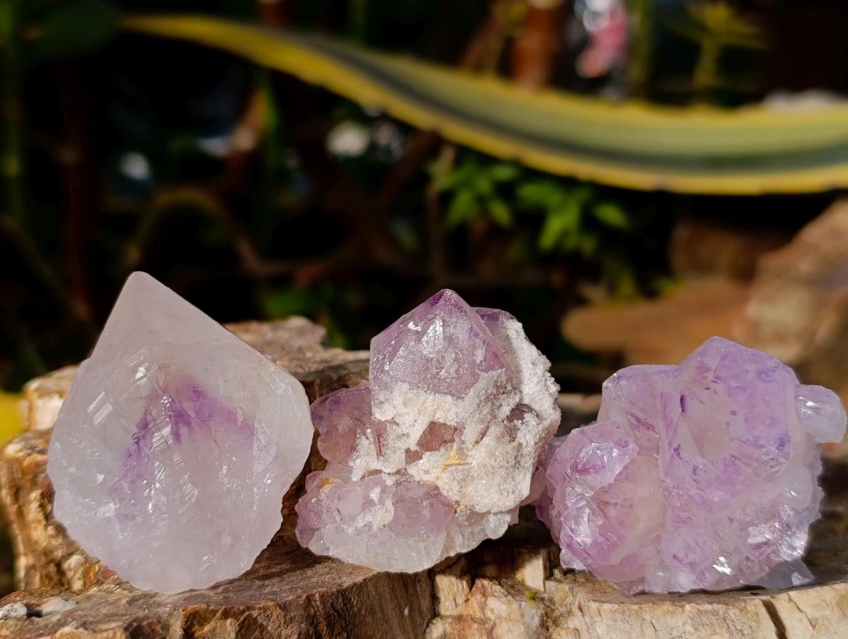 Natural Sunburst Amethyst Spirit Clusters x 20 From Boekenhouthoek, South Africa