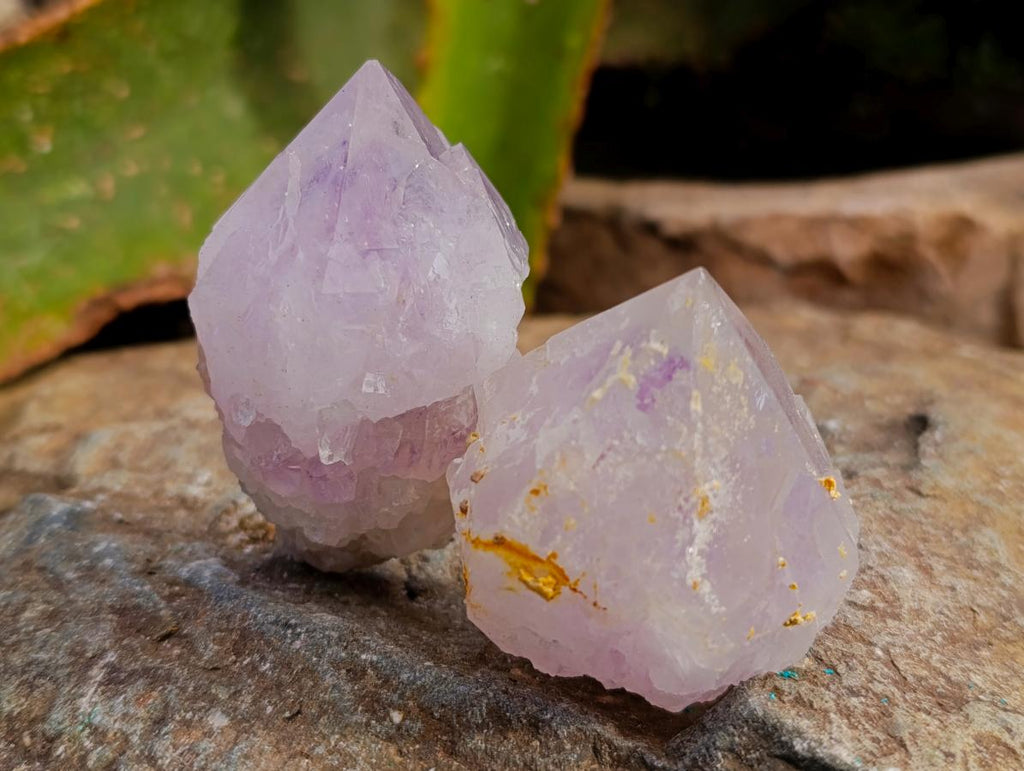 Natural Sunburst Amethyst Spirit Clusters x 20 From Boekenhouthoek, South Africa