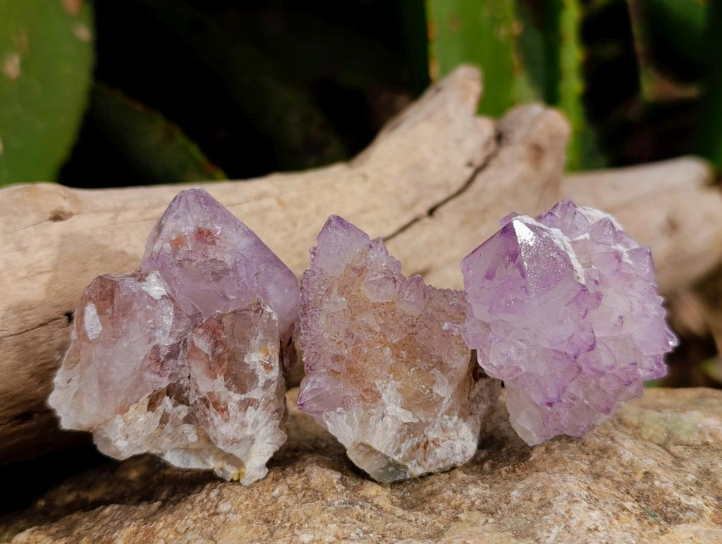 Natural Sunburst Amethyst Spirit Clusters x 20 From Boekenhouthoek, South Africa