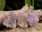 Natural Sunburst Amethyst Spirit Clusters x 20 From Boekenhouthoek, South Africa