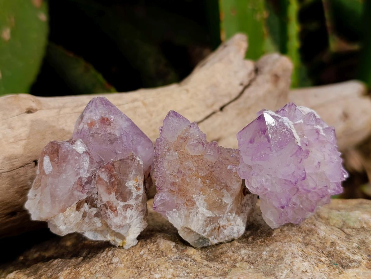 Natural Sunburst Amethyst Spirit Clusters x 20 From Boekenhouthoek, South Africa