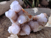 Natural White And Lilac Cactus Flower Spirit Clusters x 2 From Boekenhouthoek, South Africa