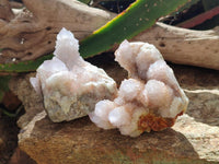 Natural White And Lilac Cactus Flower Spirit Clusters x 2 From Boekenhouthoek, South Africa